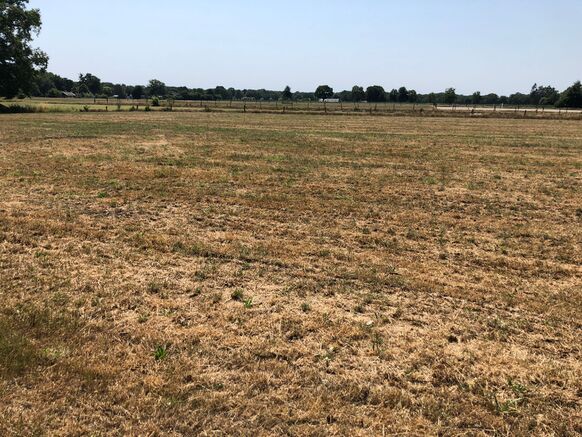 Foto gemaakt door Erwin Lankheet - Haaksbergen - Een verdord veld in de buurt van Haaksbergen. 