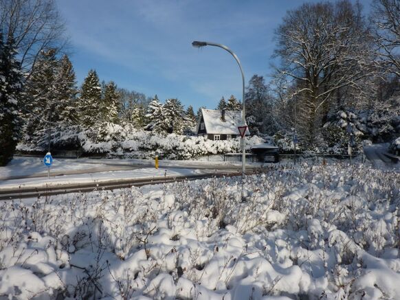 Foto gemaakt door Reinout van den Born - Berg en Dal - Kerst 2010: sprookjesachtig mooi. 