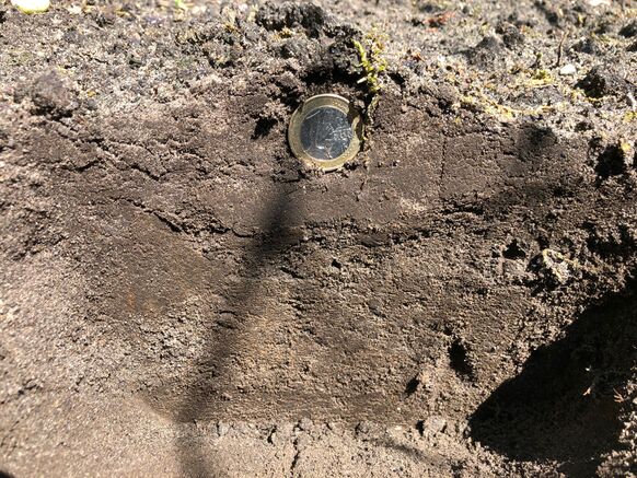 Foto gemaakt door Erwin Lankheet - Haaksbergen - De niet begroeide grond in de tuin van Erwin Lankheet in Haaksbergen. Hier drong het vocht tot een diepte van 15 centimeter de grond in.