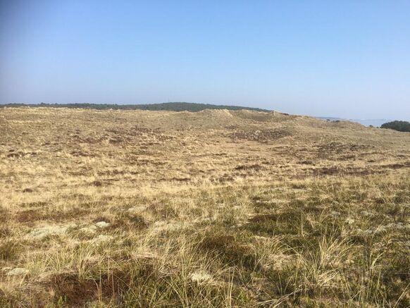 Foto gemaakt door Pieter Bliek - Vlieland - De duinpan op het oostelijke deel van Vleiland. 