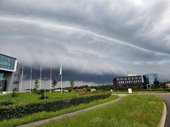 Foto gemaakt door Erik Zijlstra - Oostrum