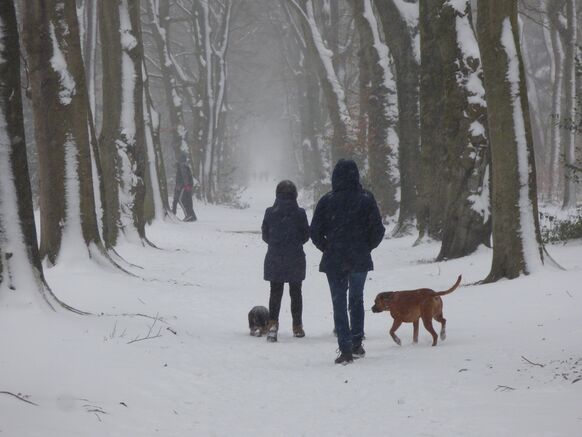 Foto gemaakt door Chris Meewis - Vaals