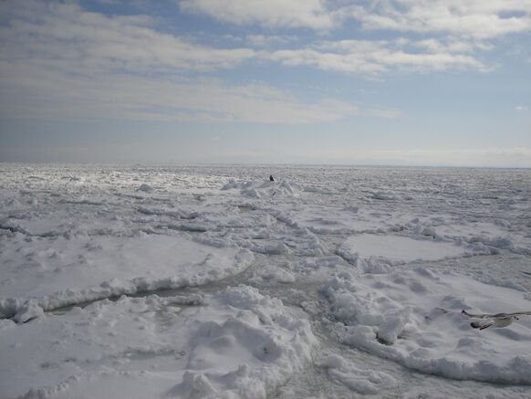 Foto gemaakt door Wikipedia - Noordpool - De groei van het oppervlak aan zeeijs op de Noordelijke IJszee ligt vooral ten noorden van Siberië duidelijk achter op normaal. 