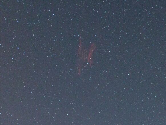 Foto gemaakt door Corné Ouwehand - Andijk - Ingezoomd op de sprites.