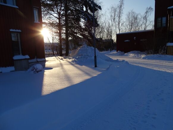 Foto gemaakt door Daan van den Broek - Volop zon boven een dik, vers pak sneeuw.