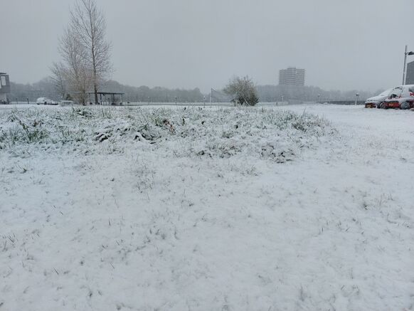 Foto gemaakt door Jelmer van der Graaff - Wageningen - Sinds ongeveer 7 uur vanochtend sneeuwt het in Wageningen, waar inmiddels bijna 2 centimeter sneeuw ligt op het gras.
