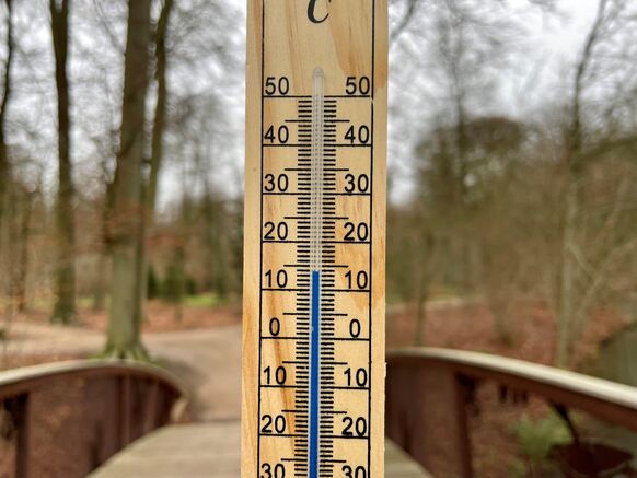 Foto gemaakt door Erica van Leeuwen - Vooral rond de jaarwisseling was het extreem zacht met temperaturen van lokaal zelfs 15 graden.