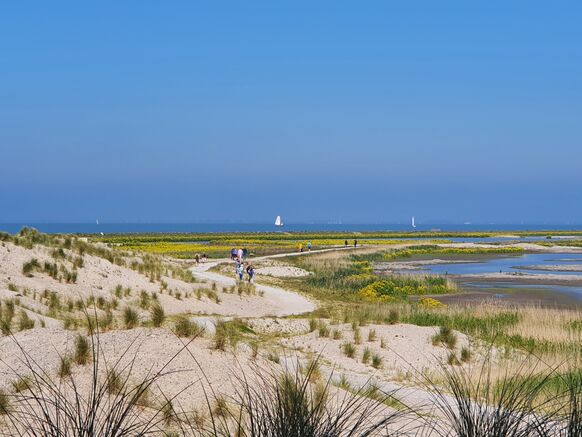 Foto gemaakt door Reinout van den Born - Marker Wadden - Dwalen over de paden van de Marker Wadden.