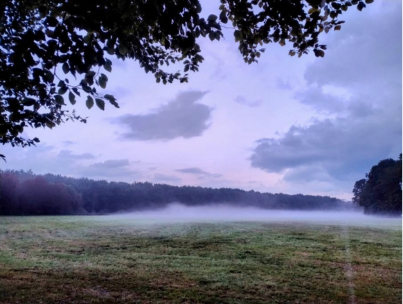 Foto gemaakt door Ellen van Balderen