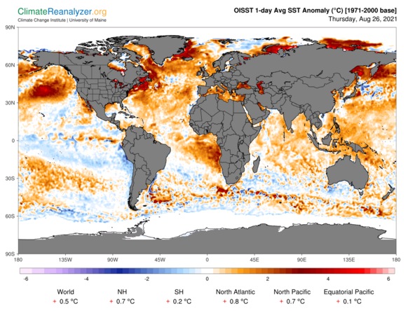 Foto gemaakt door Climate Reanalyzer - Op deze kaart met de afwijkingen van de zeewatertemperaturen zijn de bellen met warm water ten westen van Zuid-Amerika, Noord-Amerika en Europa goed te zien. 