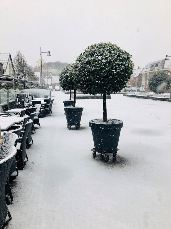 Foto gemaakt door Marja Bak-Aal - Egmond aan Zee - Ook Egmond aan Zee is wit.  