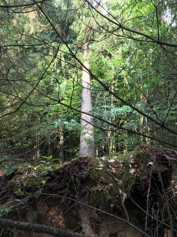 Foto gemaakt door Bas van de Beek - Leersum - De schade ter hoogte van A. 