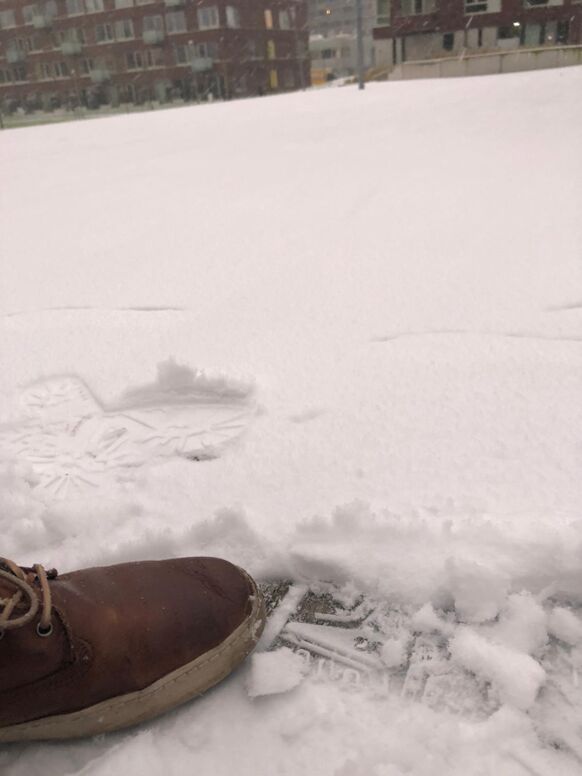 Foto gemaakt door Bas van Kesteren  - In de omgeving van Amsterdam ligt nu een sneeuwdek van 1 a 2 centimeter. 