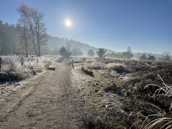 Foto gemaakt door Eva Sandelowsky - Ugchelen - Op 21 december 2021 was het wél zonnig, maar dat blijkt een uitzondering