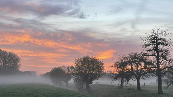 Foto gemaakt door houtensnieuws.nl - Houten - Mistige zonsopkomst