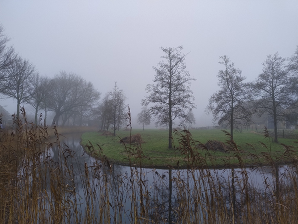 Foto gemaakt door Ellen van Balderen - Achlum - Grijze dag 