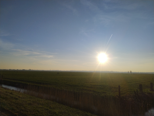 Foto gemaakt door Ellen van Balderen - Baarn - Laagstaande zon boven weiland