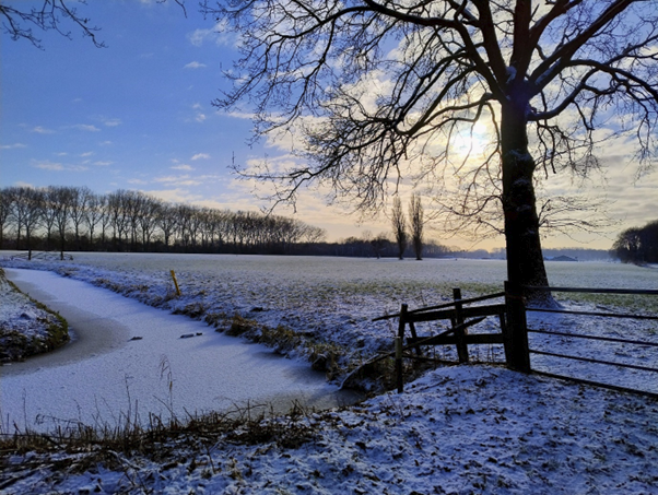 Foto gemaakt door Ellen van Balderen - Winters Nederlands landschap