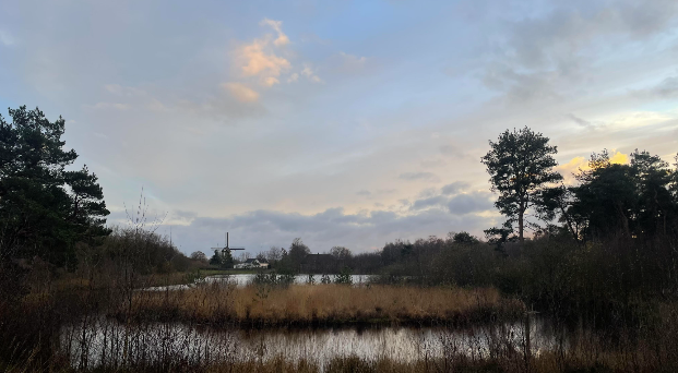 Foto gemaakt door Anne Klein Entink - Hernen