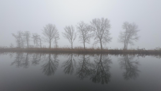 Foto gemaakt door Jolanda Bakker - Zevenhuizen - Mist en een lage gevoelstemperatuur - wat is het verband?