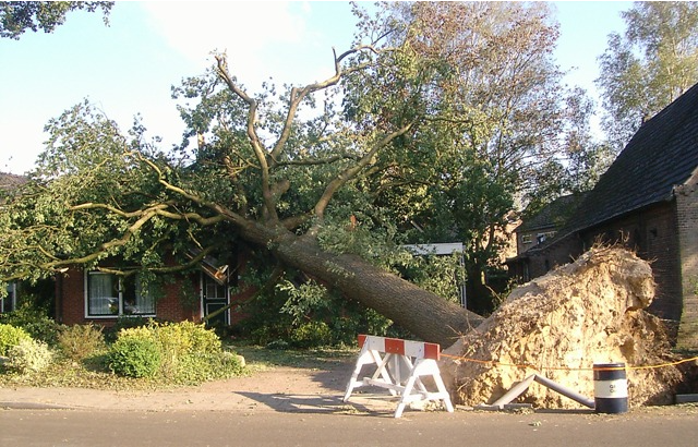 Foto gemaakt door Herman Dute - Haarlo