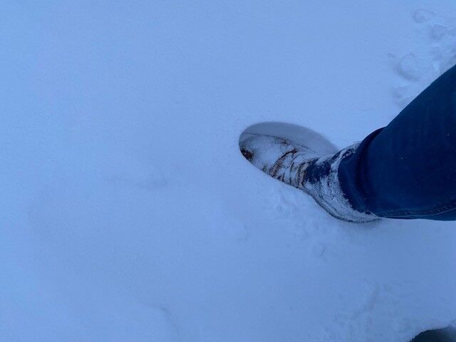 Foto gemaakt door Britta van Gendt - Huissen - In Arnhem en omgeving lag vanochtend al een dikke laag sneeuw. 