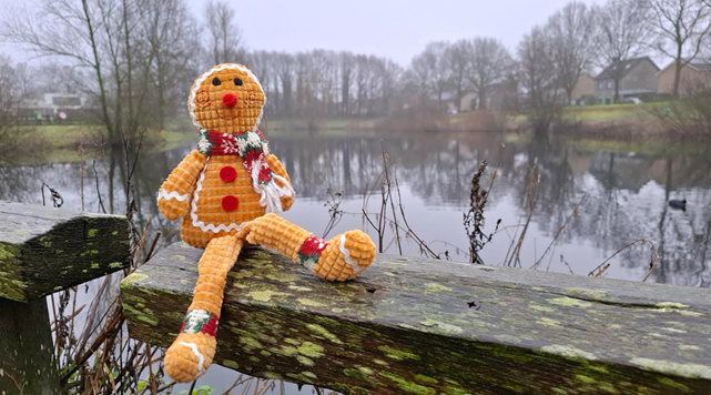 Foto gemaakt door Jolanda Pelkmans  - Gilze - Grijze kerstdagen moeten zelf maar leuk aangekleed worden!