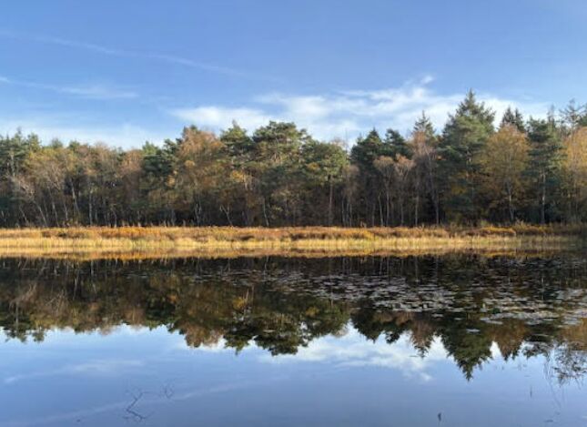 Foto gemaakt door  Geapeter Vrijhof - Herkenbosch - De watergrens symboliseert de grens die zich de komende dagen in het Nederlandse weer voordoet.