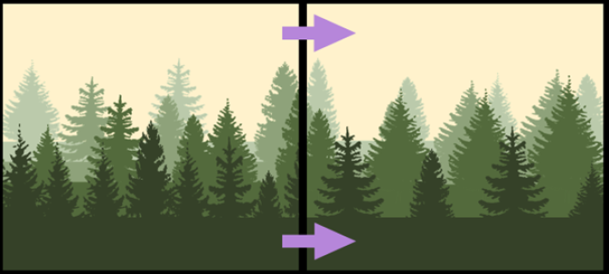 Foto gemaakt door © WUR - De verwachte verschuiving in boreale bossen. Het type dicht boreaal bos wordt opener en het type open boreaal bos wordt dichter.