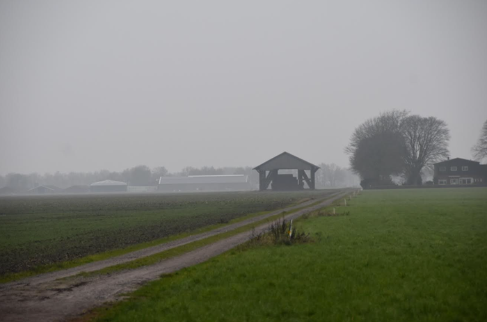 Foto gemaakt door Altjo Wubbema - Jipsingboertange - Het typische Hollandse grijze winterweer