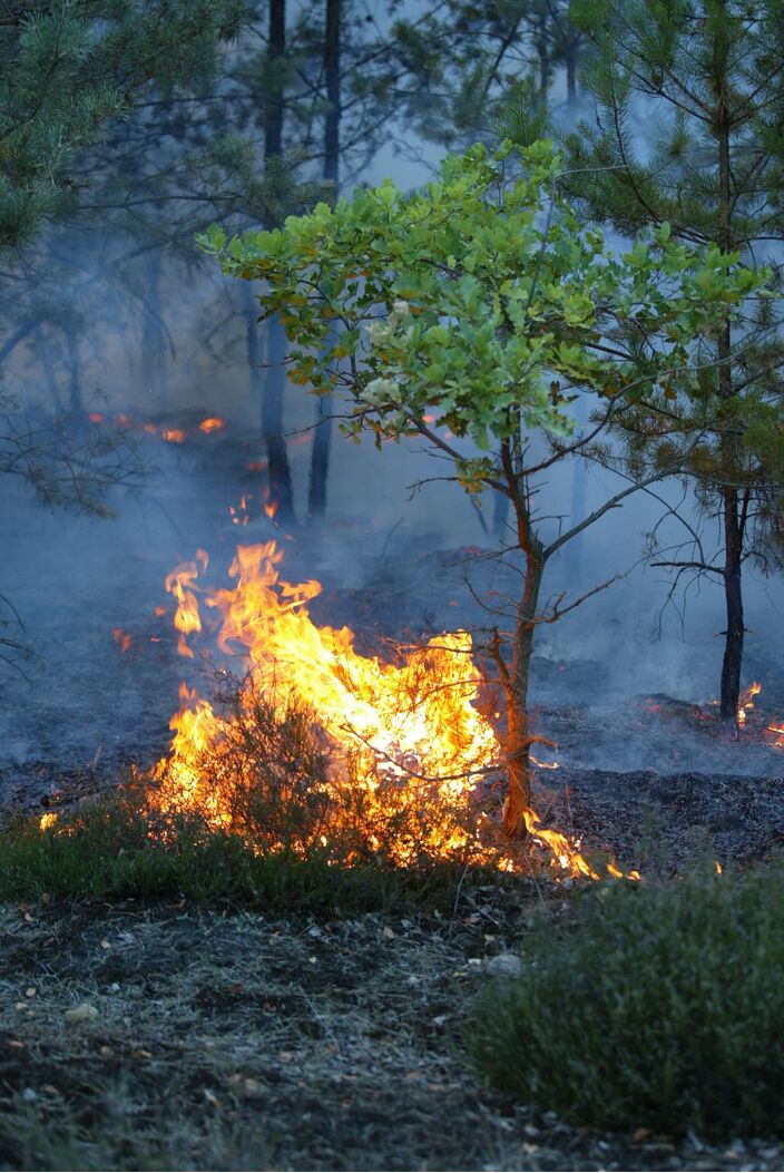 Foto gemaakt door Tilo - Het door droogte getroffen noorden van Italië is de afgelopen dagen door meerdere natuurbranden getroffen.