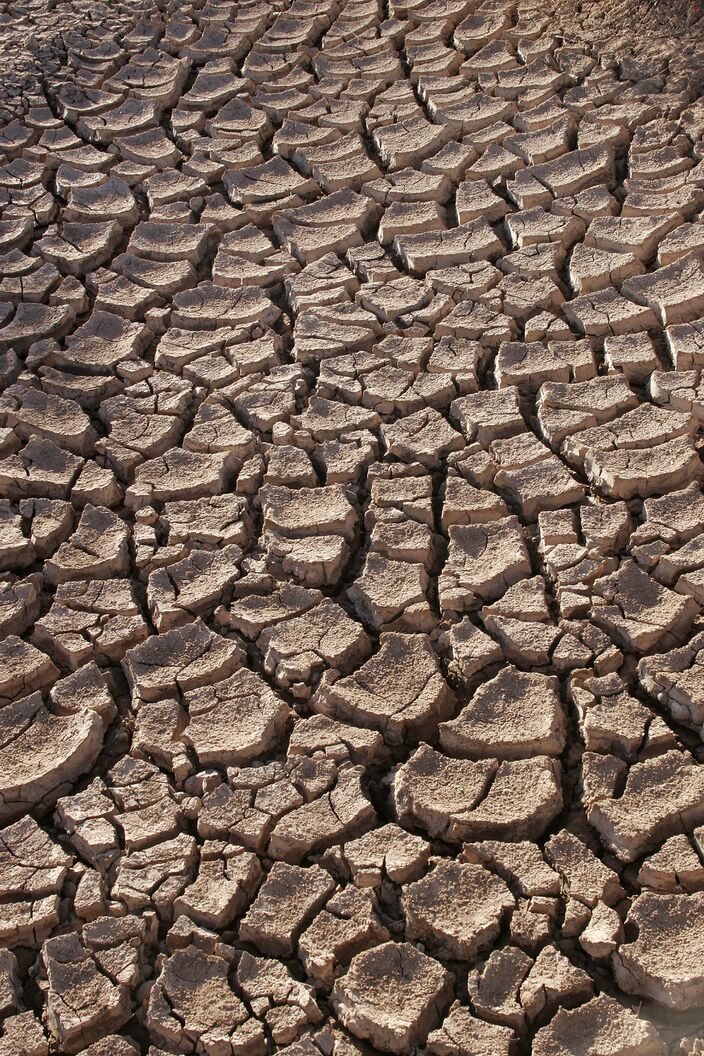 Foto gemaakt door Tomas Castelazo - Nu ook de voorjaarsregens uitblijven, bereidt het Iberisch schiereiland zich op een hete zomer voor. In sommige delen van Spanje zijn er nu al watertekorten.