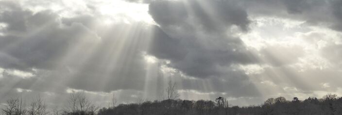 Foto gemaakt door Ton de Brabander - Renkum - Na het stormweer van gisteren is vandaag de zon weer geregeld te zien. 