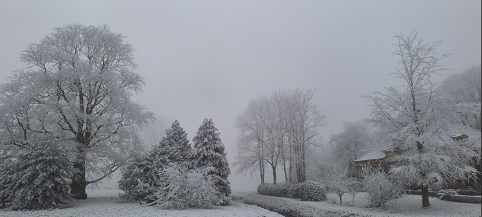 Foto gemaakt door Arnout Bolt - Zuidbroek - Zondagmiddag sneeuwde het licht in Groningen