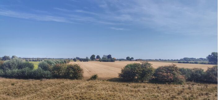 Foto gemaakt door Joyce Derksen - Doorneburg - Door de extreem lage grondwaterstand staan vooral in het oosten beken en sloten droog en kleuren weilanden geel. Ook beginnen jonge bomen dood te gaan.