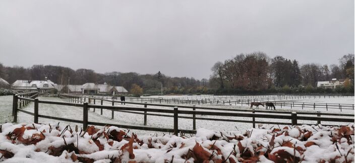 Foto gemaakt door Joyce Derksen - Oosterbeek (27-11-2021) - Gaat het in het weekend sneeuwen? Die vraag is, nu we de berekeningen van de ochtendruns van de weermodellen binnen hebben, zomaar ineens actueel geworden.