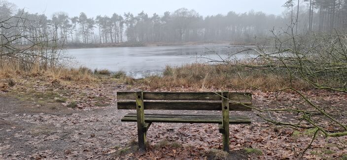 Foto gemaakt door Altjo Wubbema - Jipsingboertange - Typische winterdag in januari: laagje ijs op een meertje en wat mist