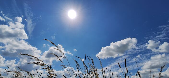 Foto gemaakt door Arnout Bolt - Garrelsweer (Gr) - Het wordt warm! De eerste 30 graden van het jaar?