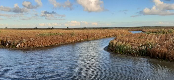 Foto gemaakt door Grieta Spannenburg - Marker Wadden - Water, riet en wind: dat zijn de Markerwadden.