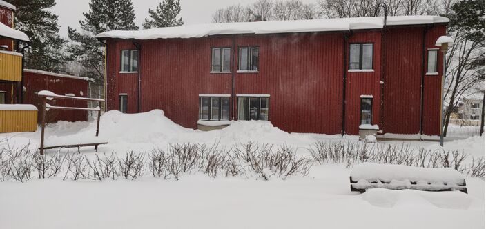 Foto gemaakt door Daan van den Broek - Helsinki - In Helsinki ligt inmiddels 30 tot ruim 50 cm sneeuw. Diepvrieskou is nu onderweg, komende dagen vriest het zelfs overdag zeer streng.