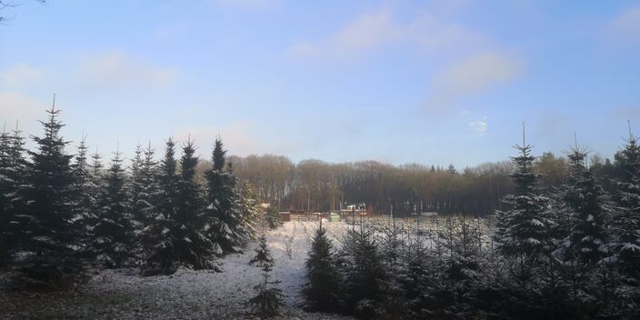 Foto gemaakt door Ton de Brabander - Renkum - Vanochtend lag in een deel van Midden- en Oost-Nederland al sneeuw. 