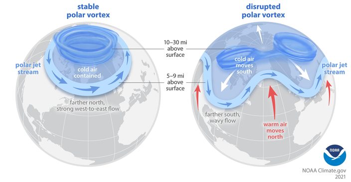 Een verstoorde poolwervel kan zorgen voor uitbraken van kou richting het zuiden. Bron: NOAA.