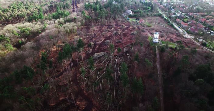 Foto gemaakt door Staatsbosbeheer, still uit video - Donderberg, Leersum - De schade op de Donderberg rond de tombe van Nellesteijn