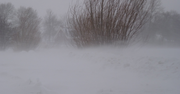 Foto gemaakt door Jannes Wiersema - Roodeschool - Bij een sneeuwstorm is sprake van driftsneeuw. Dat is sneeuw die horizontaal door de lucht beweegt door de wind. Het hoeft daarbij niet per se te sneeuwen.