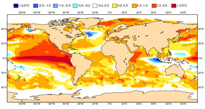 Het Europese weermodel laat zien dat we in augustus al te maken hebben met een El Niño, waarbij de temperatuur van het zeewateroppervlak in de Stille Oceaan warmer is dan normaal. Bron: ECMWF.