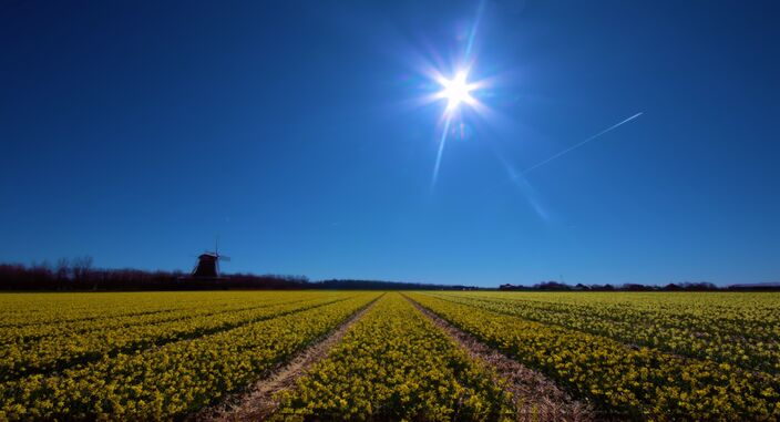 Foto gemaakt door Ed van Pelt - Julianadorp - De afgelopen dagen was het op veel plekken stralend zonnig weer, maar blijft dat ook zo?