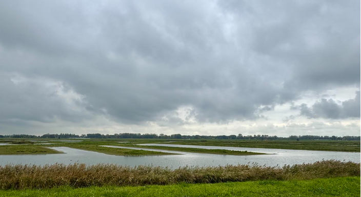 Foto gemaakt door Jolanda Bakker - Zevenhuizen