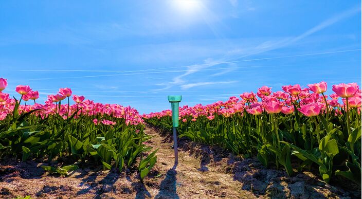 Foto gemaakt door Ed van Pelt - Witmarsum - Droge regenmeters: het kwam deze aprilmaand vaak voor