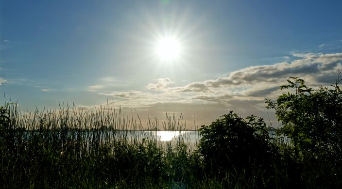 Foto gemaakt door Ton Wesselius - Roelofarendsveen - Fris, maar wel geregeld zon