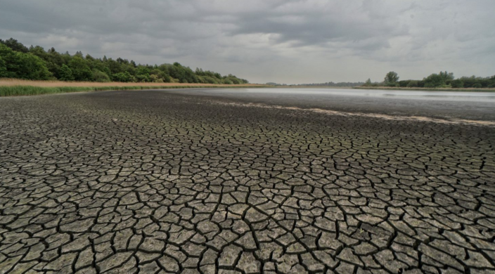 Foto gemaakt door Arjan Pat - Archieffoto - Bij ons is het nu droog en in het zuidwesten van Europa valt eindelijk regen!